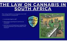 Cannabis Laws in South Africa 2025: What You Must Know to Stay Legal & Thrive